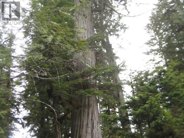 Specialty Clearwater Valley Road Property Photo 25