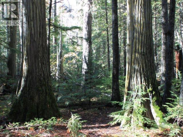 Specialty Clearwater Valley Road Property Photo 43