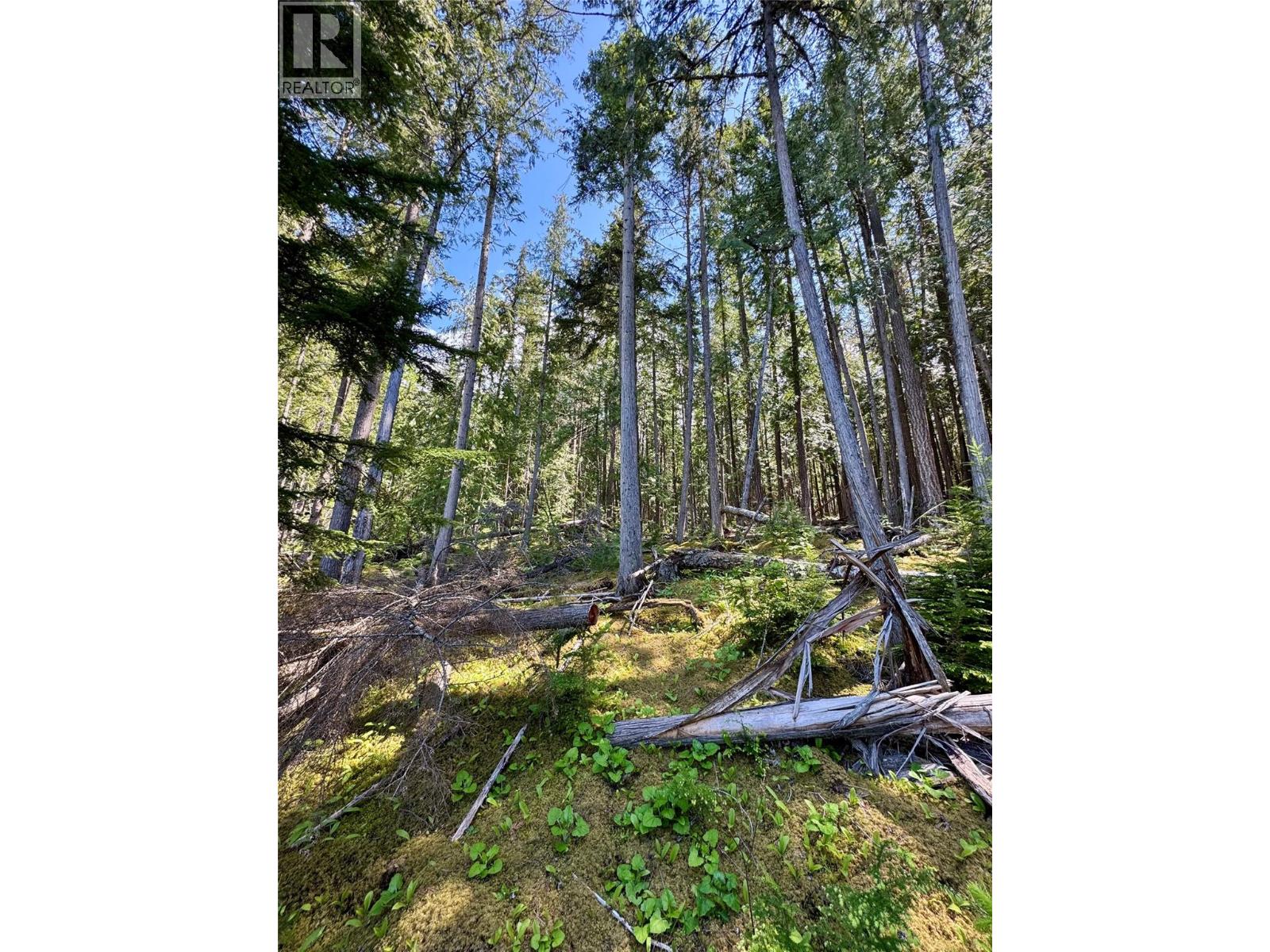 Lot 4 Pete Martin Bay Property Photo 58