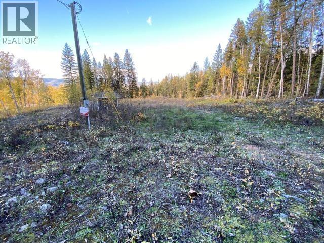 450 Dunn Lake Road Property Photo 5