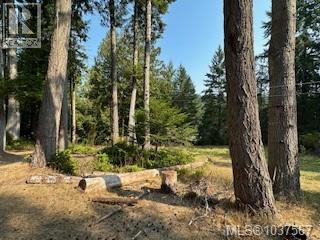 808 Rainbow Rd Property Photo 22