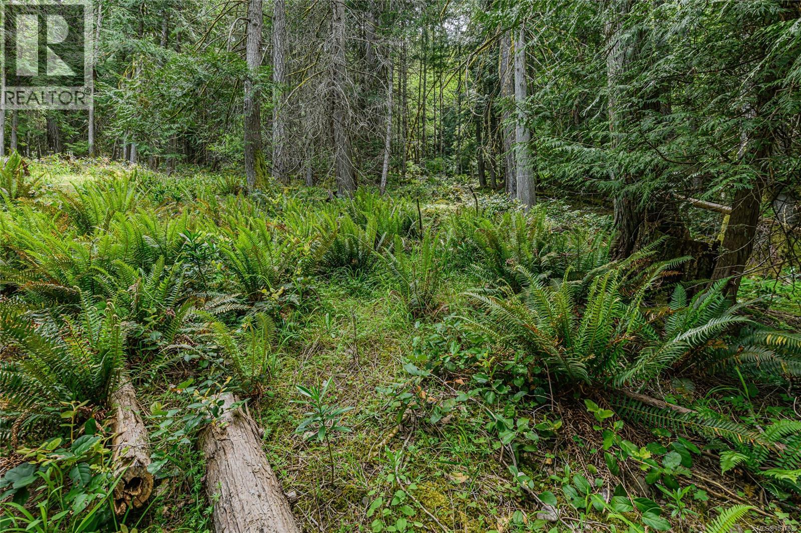 421 Mt. Belcher Hts Property Photo 44