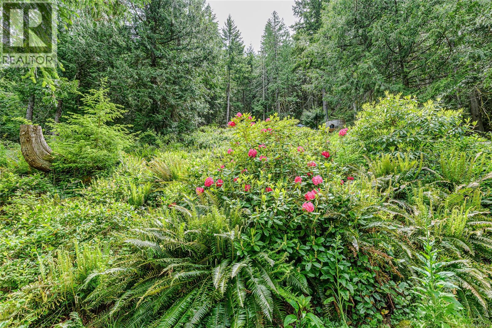 421 Mt. Belcher Hts Property Photo 53