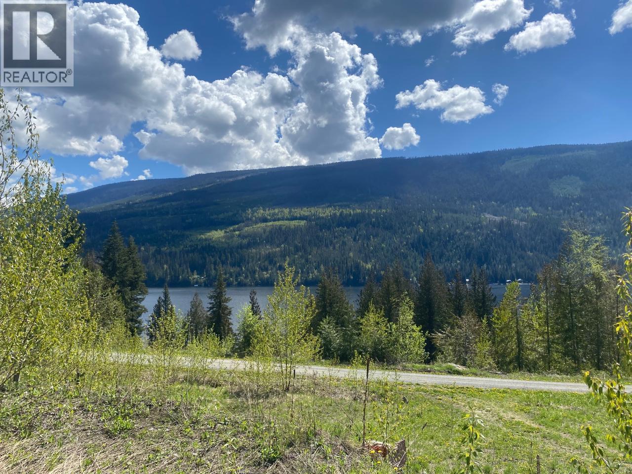 7540 Russel Creek Forest Service Road Unit# 68 Property Photo 4