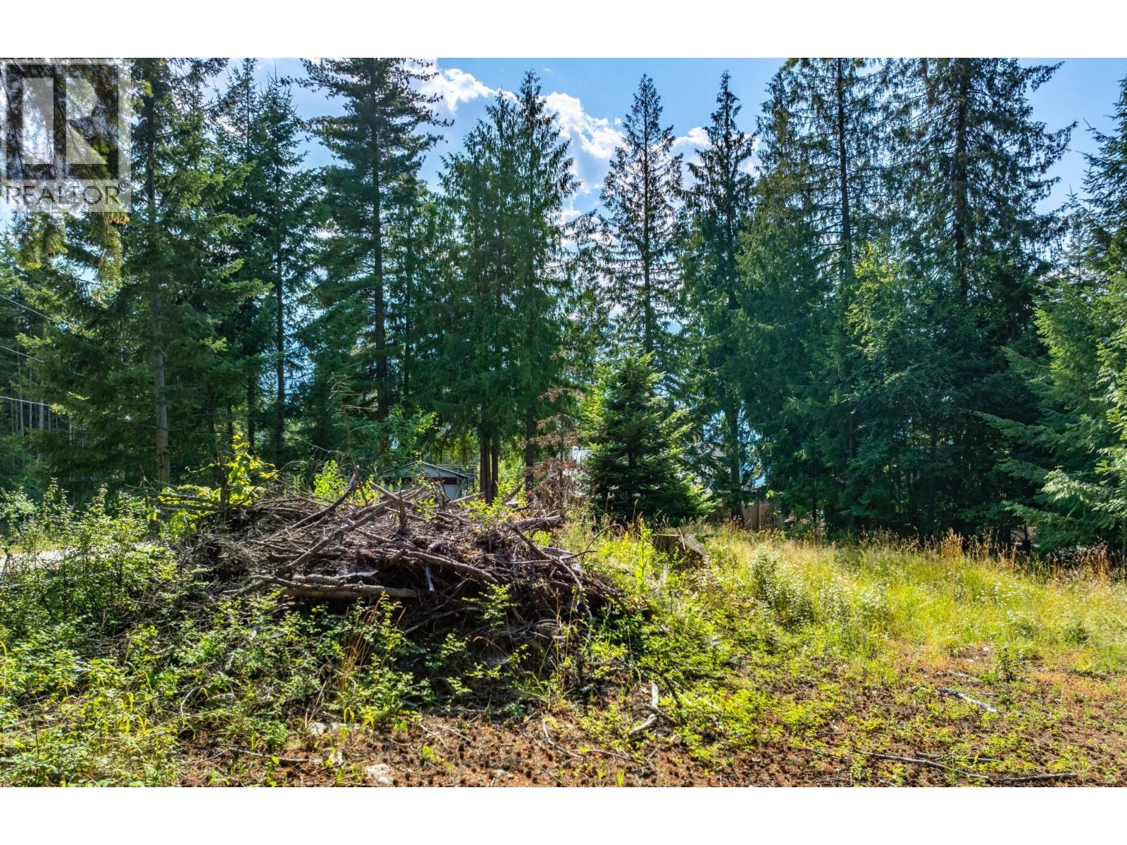 13523 Mountain Shores Road Property Photo 3