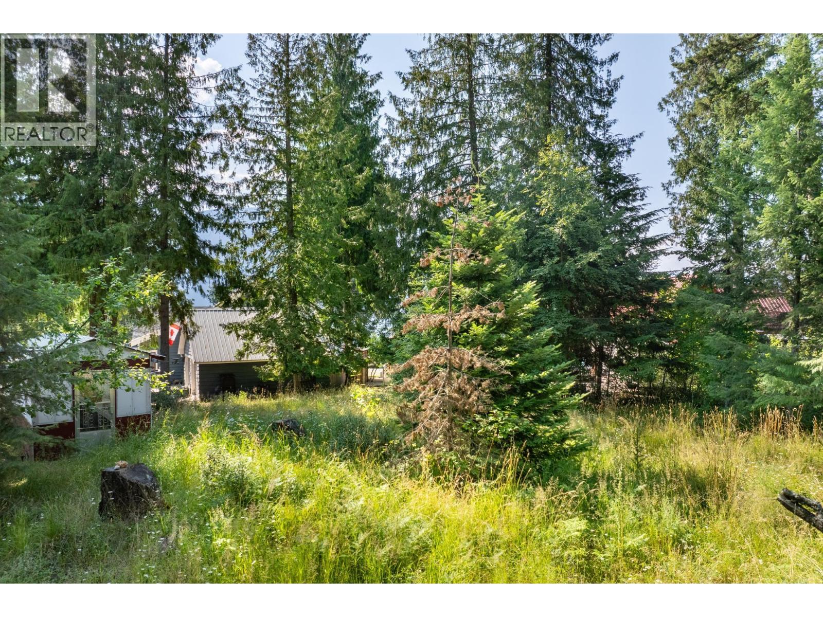 13523 Mountain Shores Road Property Photo 4