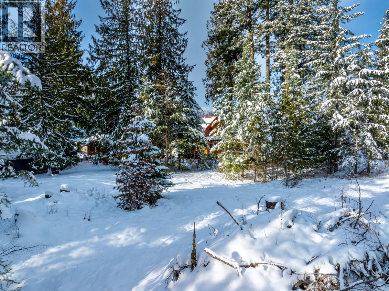 13523 Mountain Shores Road Property Photo 22