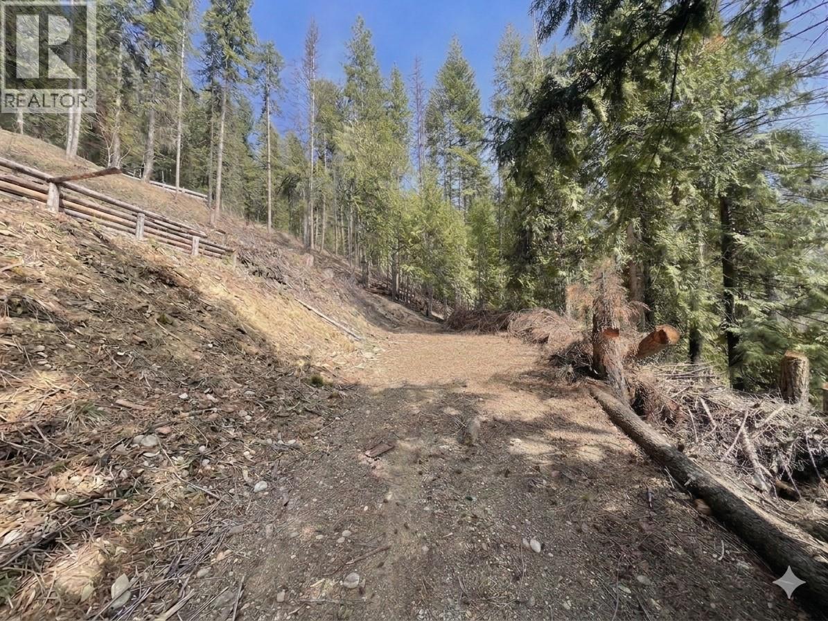 2401 Vickers Trail Property Photo 2