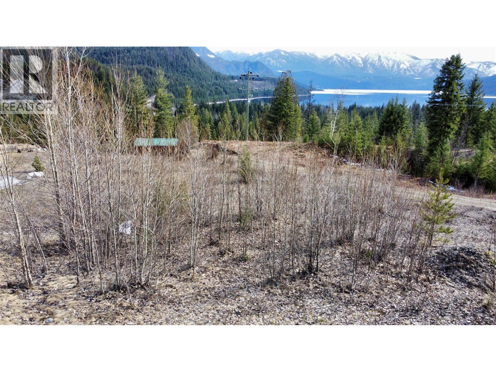 247 Fullmoon Road Property Photo 3