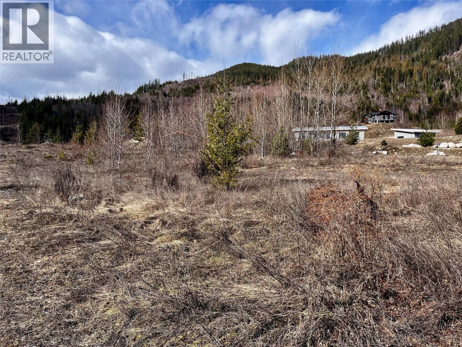 247 Fullmoon Road Property Photo 22