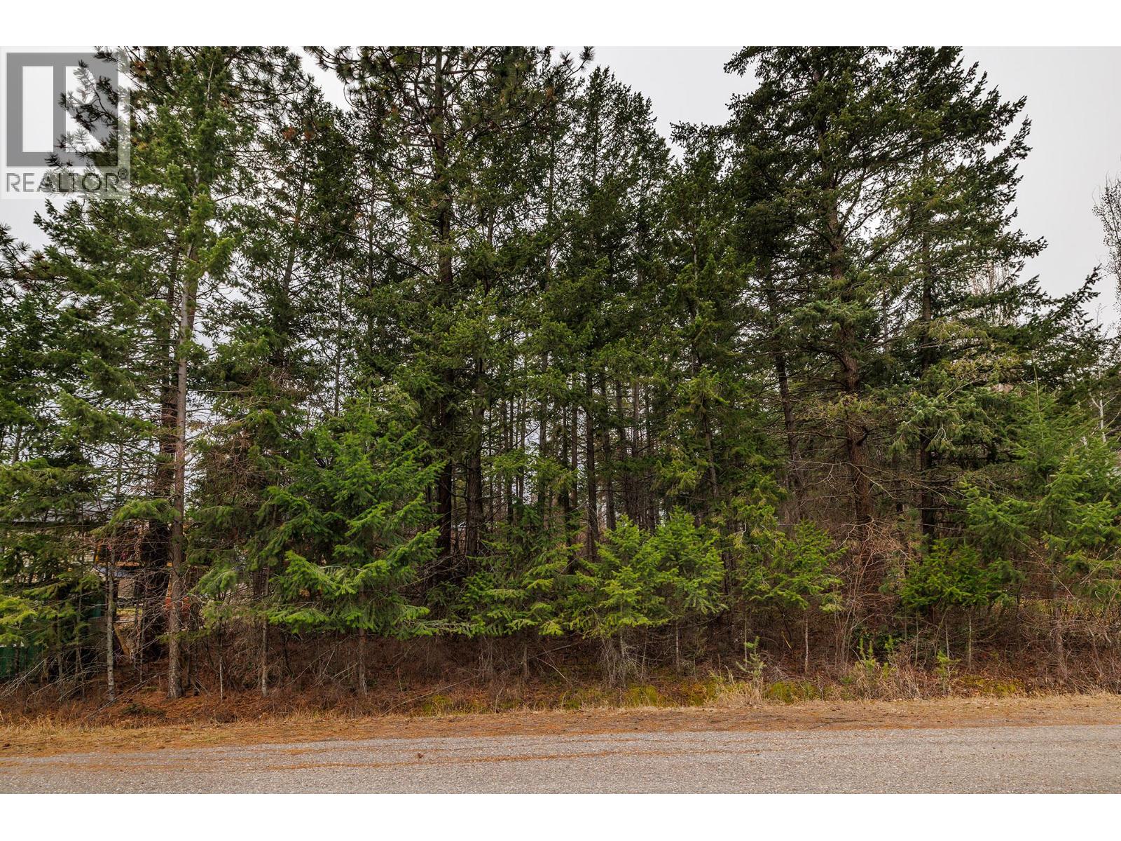 10700 Pinecrest Road Property Photo 6