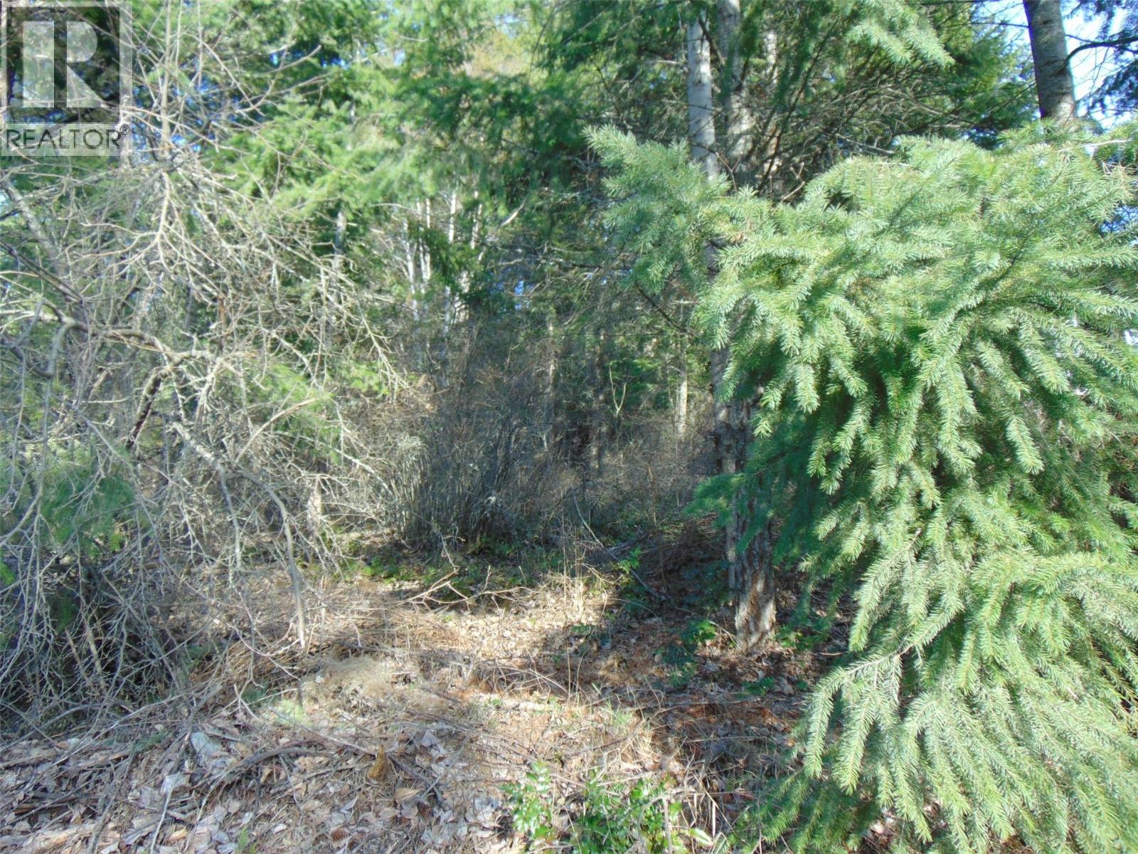 Mcbride Road Lot# 23 Property Photo 12