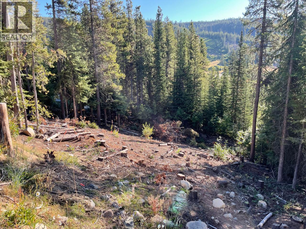 Lot 122 WAPITI CREEK Road Property Photo 1