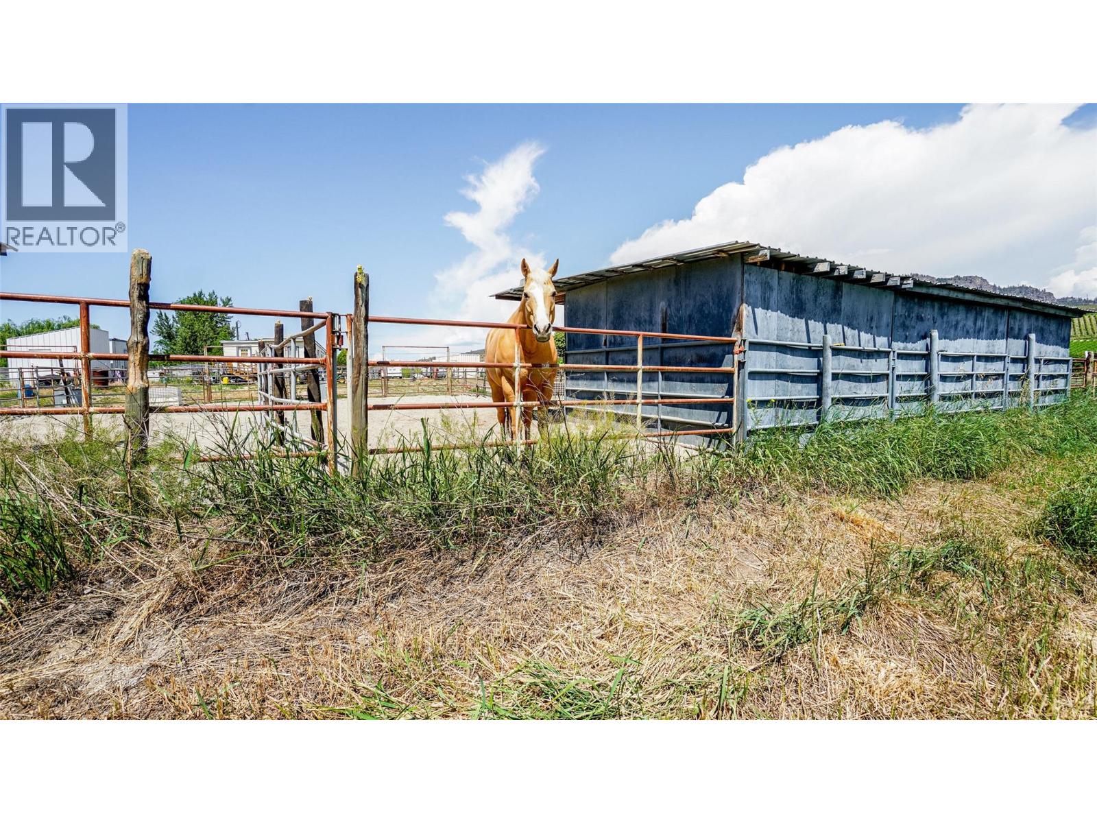 205 Greasewood Avenue Property Photo 46