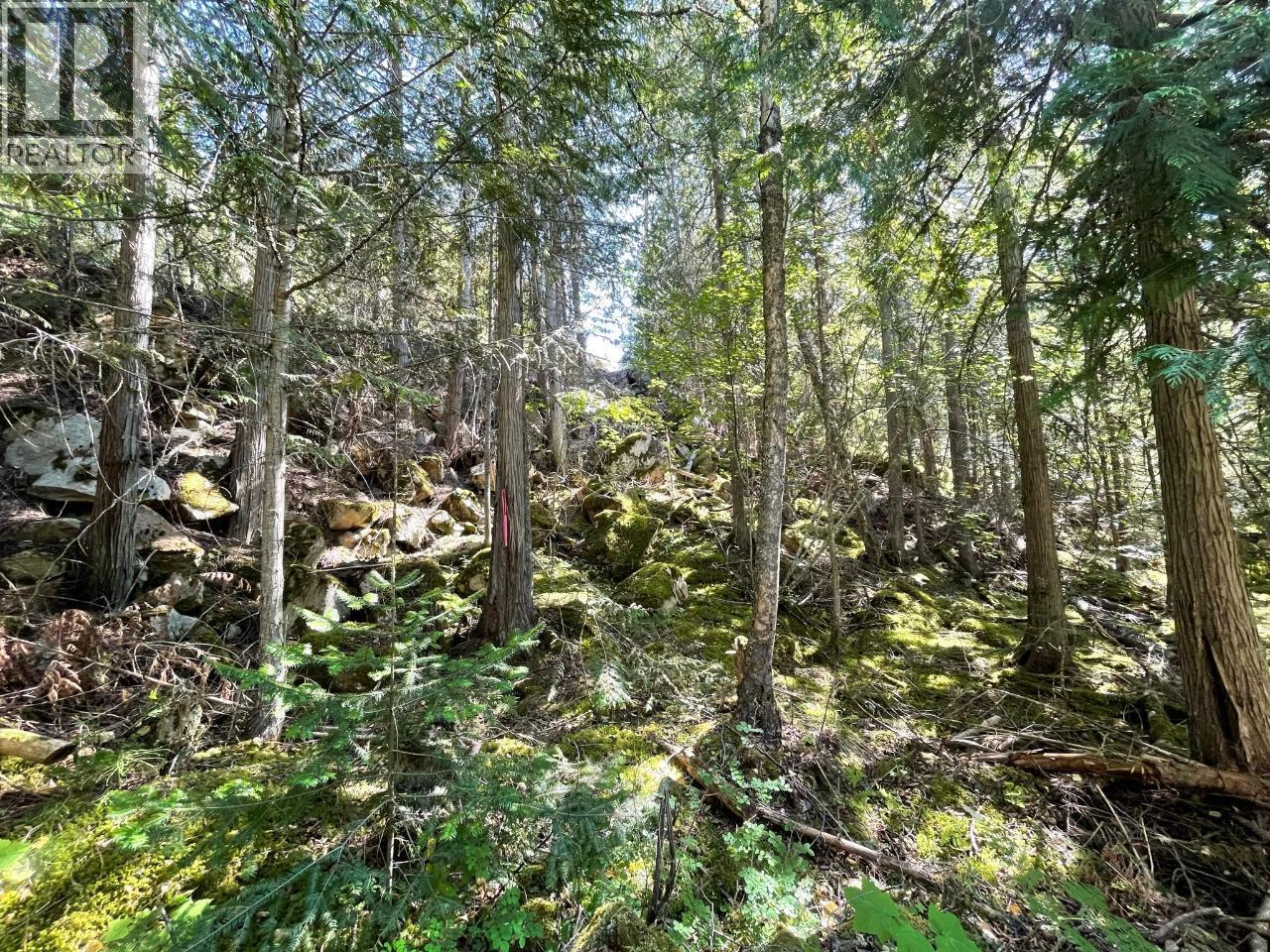 237 Rainbow Ridge Road Property Photo 9