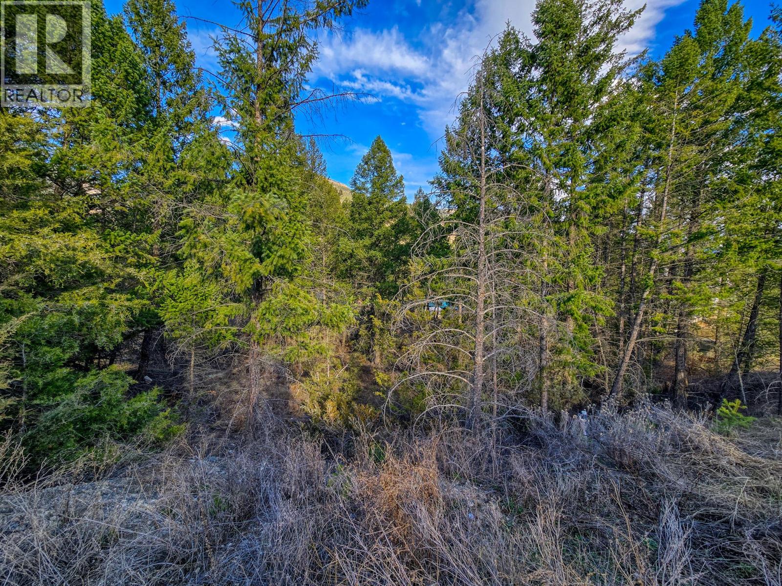Lot 17 Copper Point Way Property Photo 9