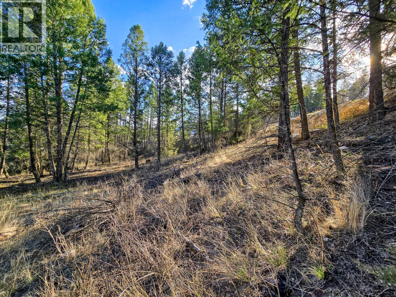 Lot 17 Copper Point Way Property Photo 11