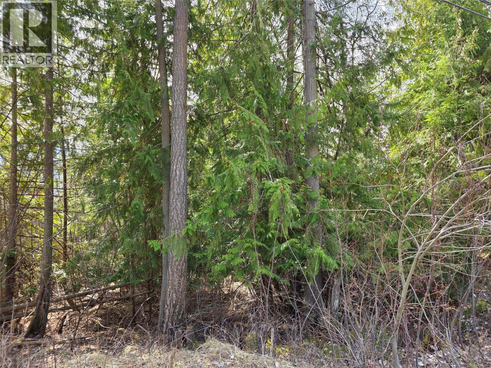 7502 Estate Drive Property Photo 4