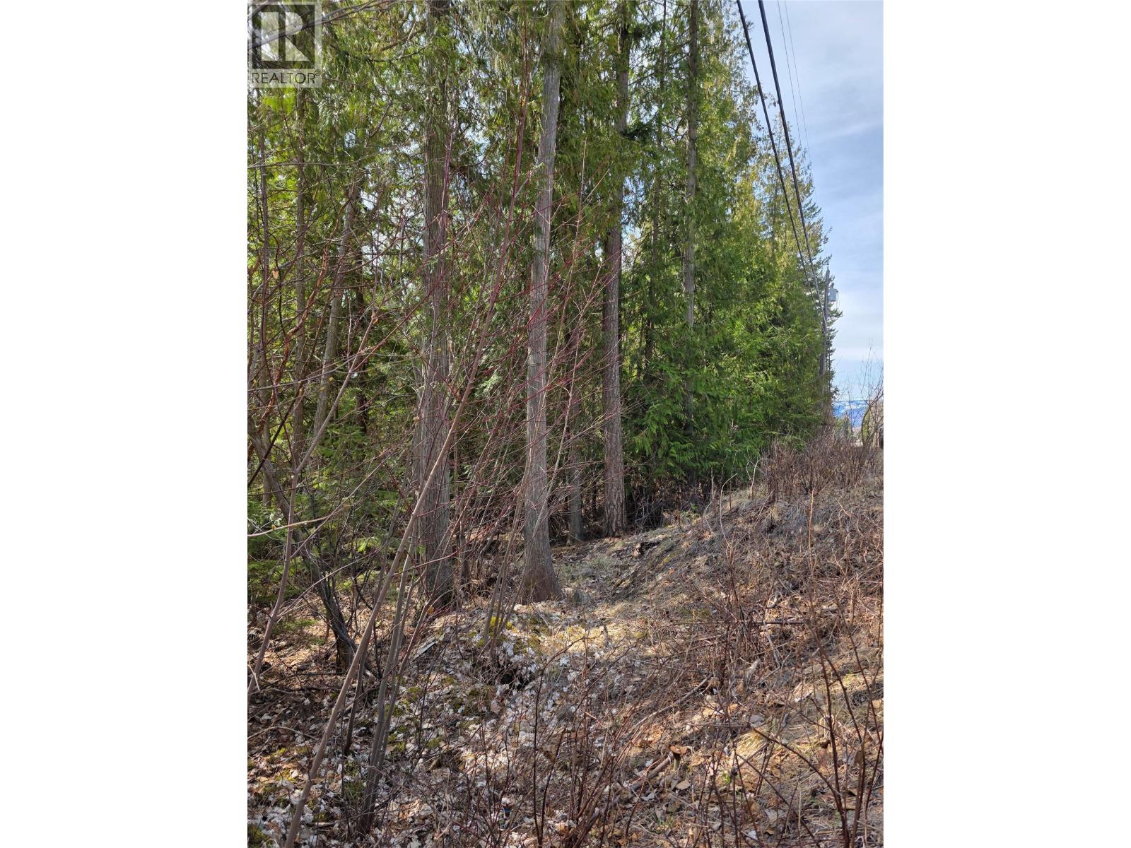 7502 Estate Drive Property Photo 5