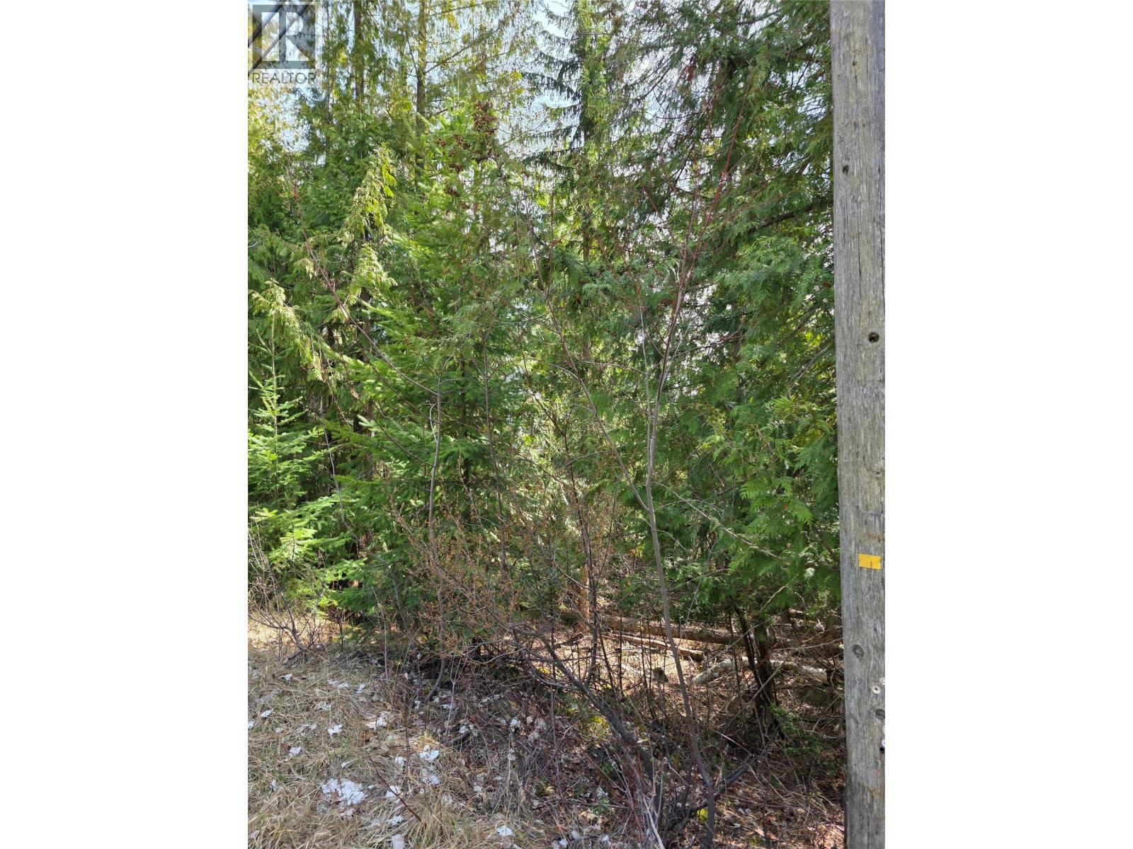 7502 Estate Drive Property Photo 8