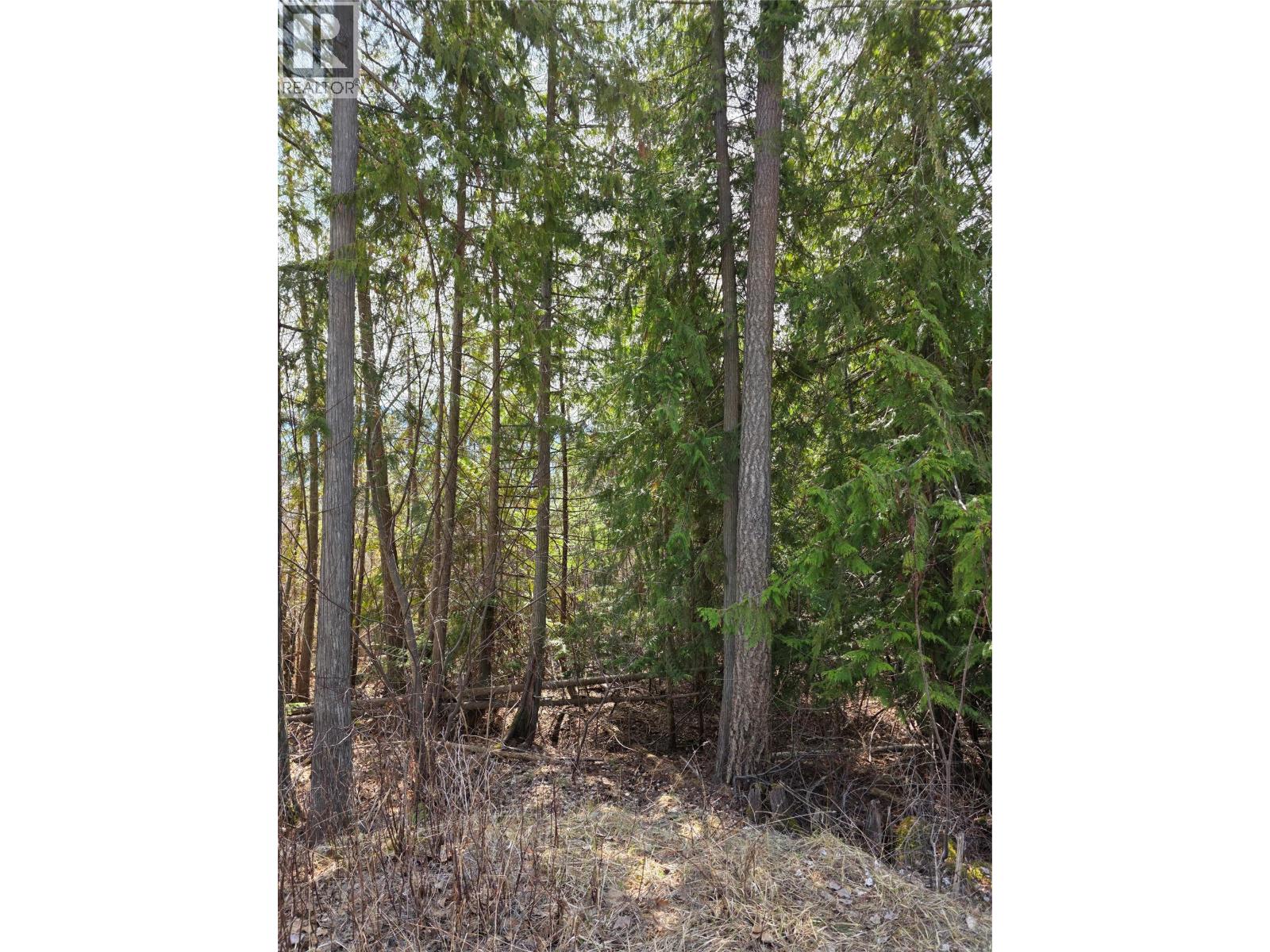 7502 Estate Drive Property Photo 11