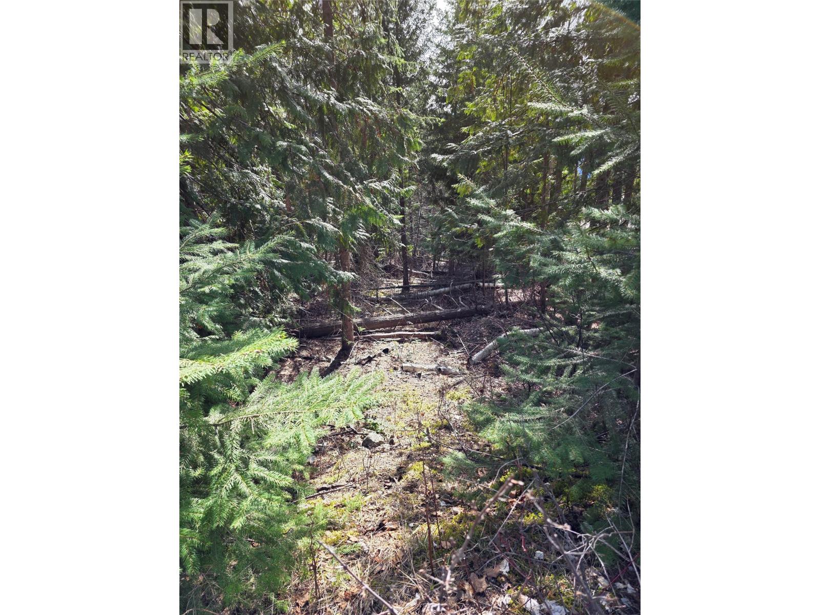 7502 Estate Drive Property Photo 12