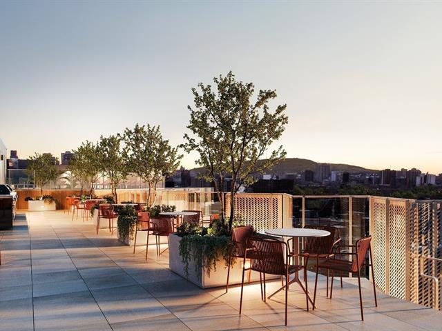 2114 Rue Ste-catherine E., #1208 Property Photo 3