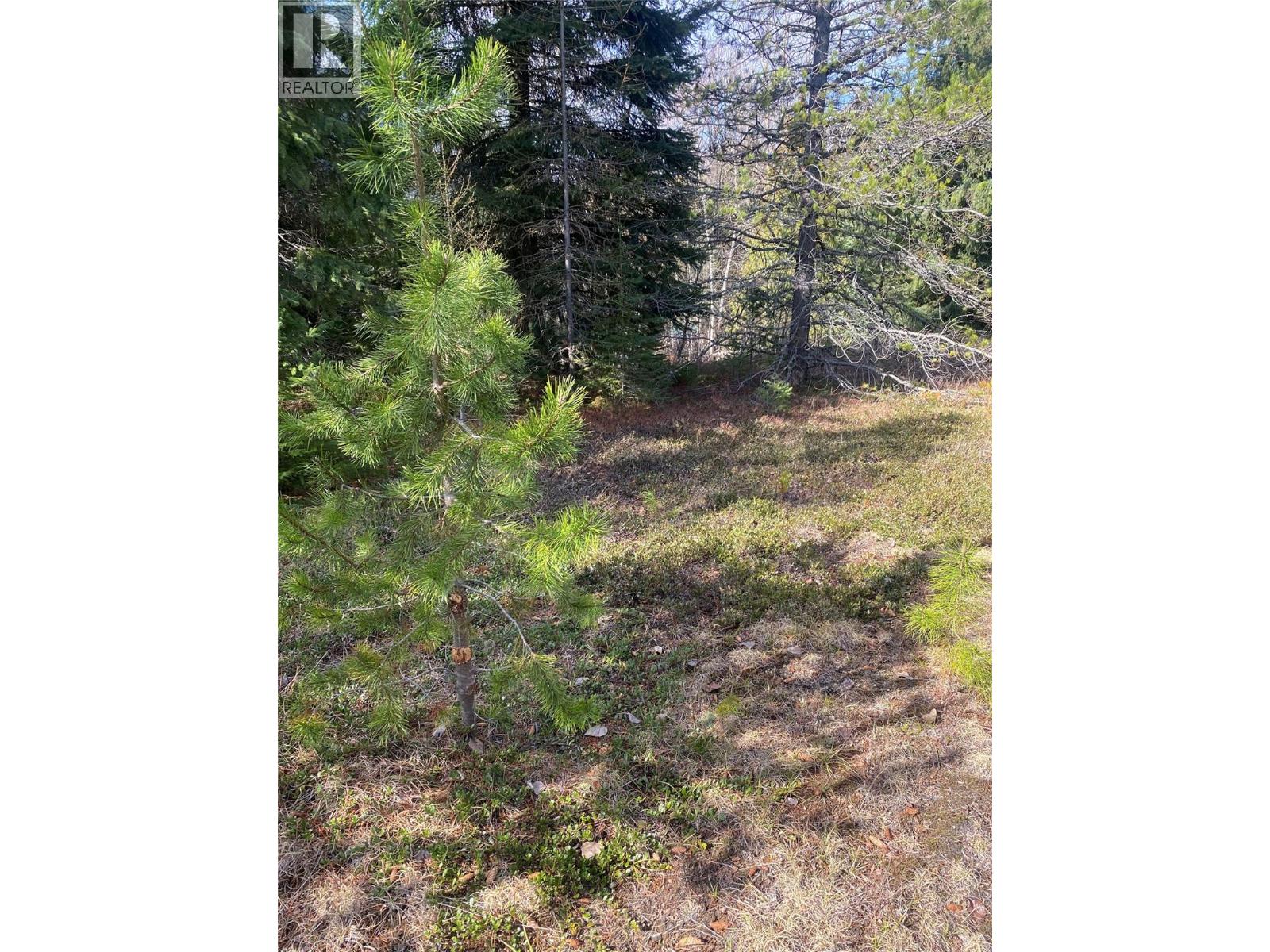 Kittyhawk Road Lot# Lot B Property Photo 15