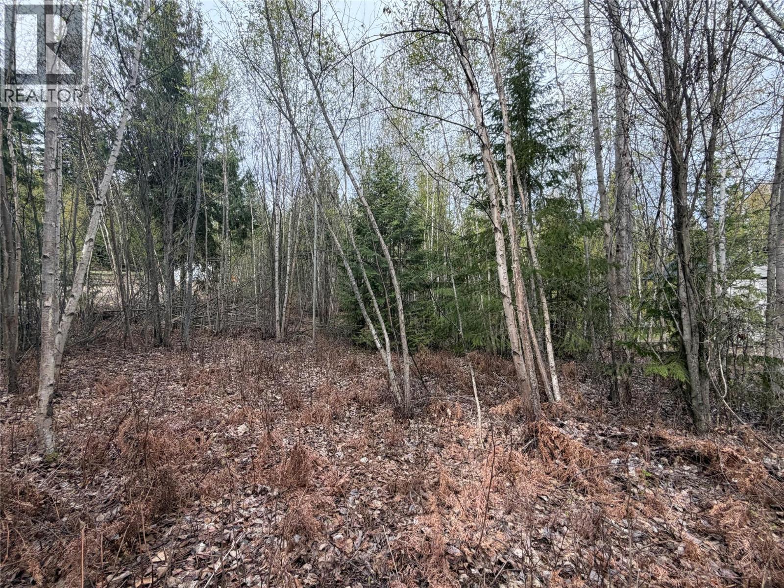 Lot 6 Mcbride Road Property Photo 4