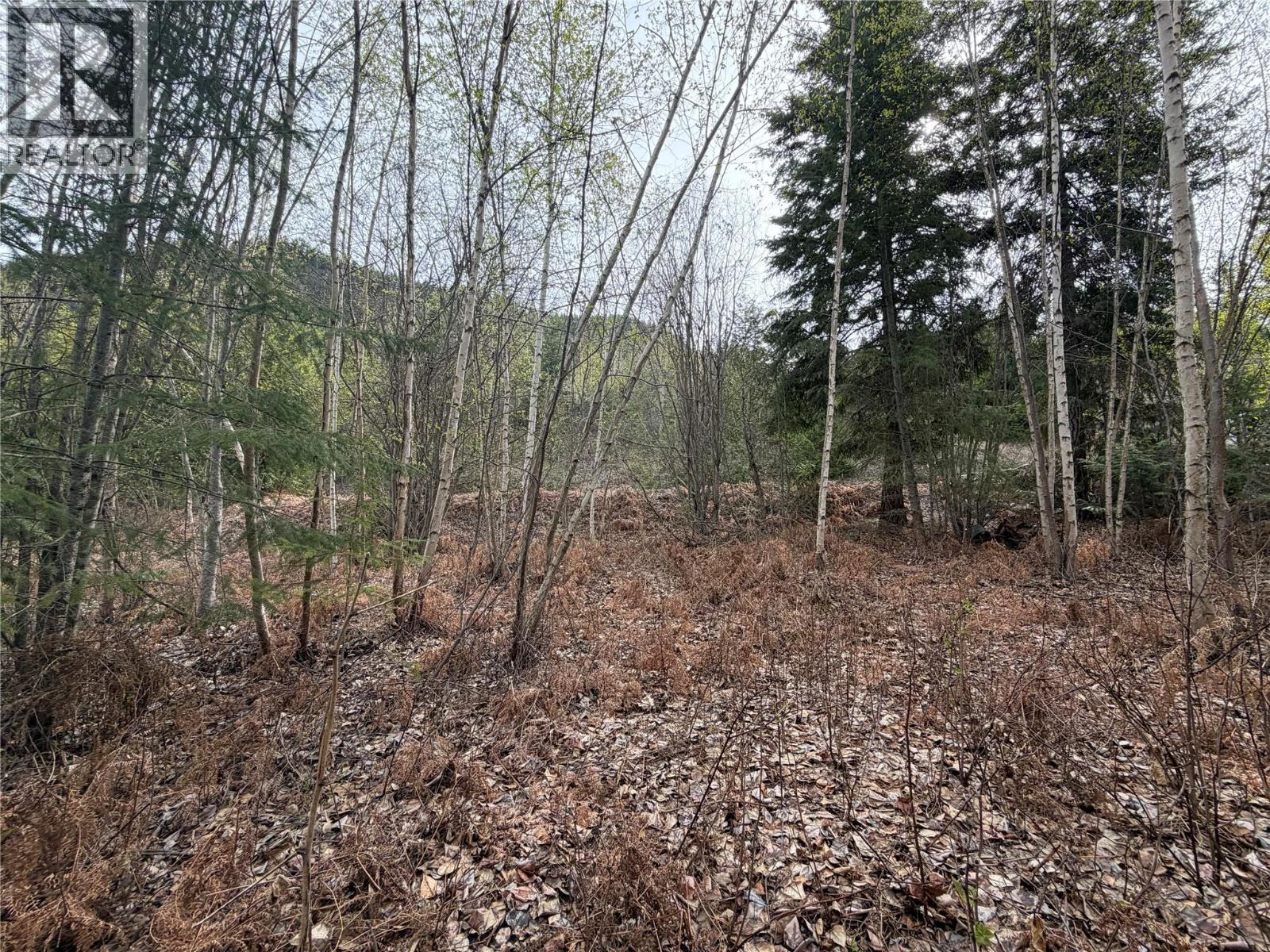 Lot 6 Mcbride Road Property Photo 5