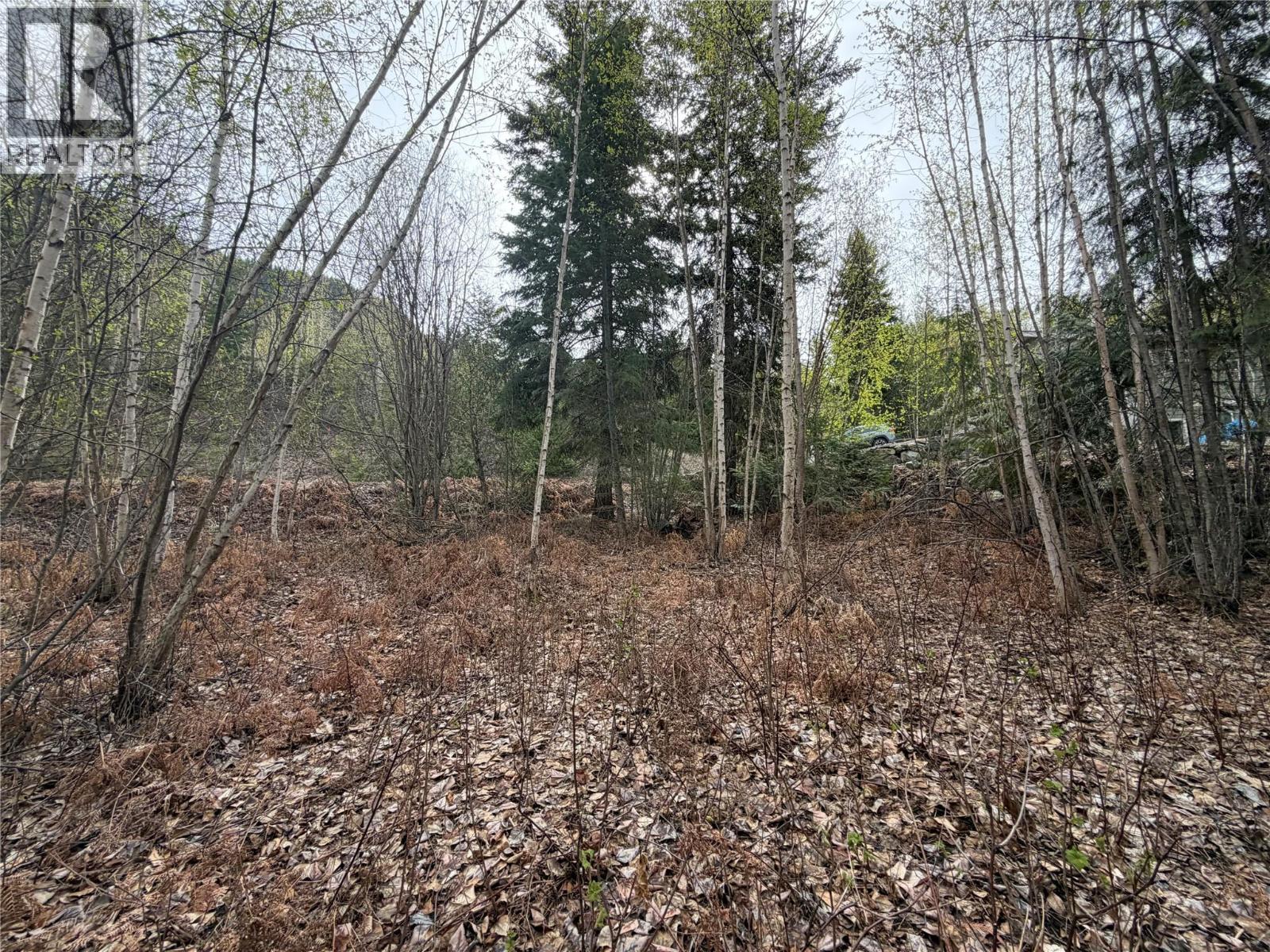 Lot 6 Mcbride Road Property Photo 6
