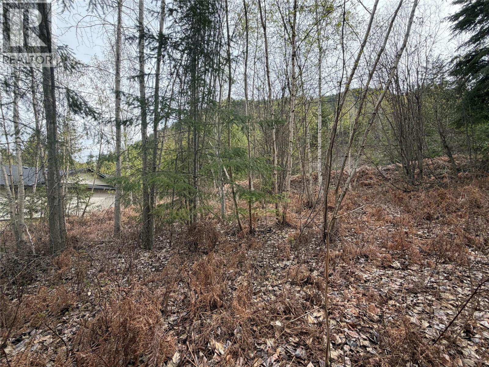 Lot 6 Mcbride Road Property Photo 7