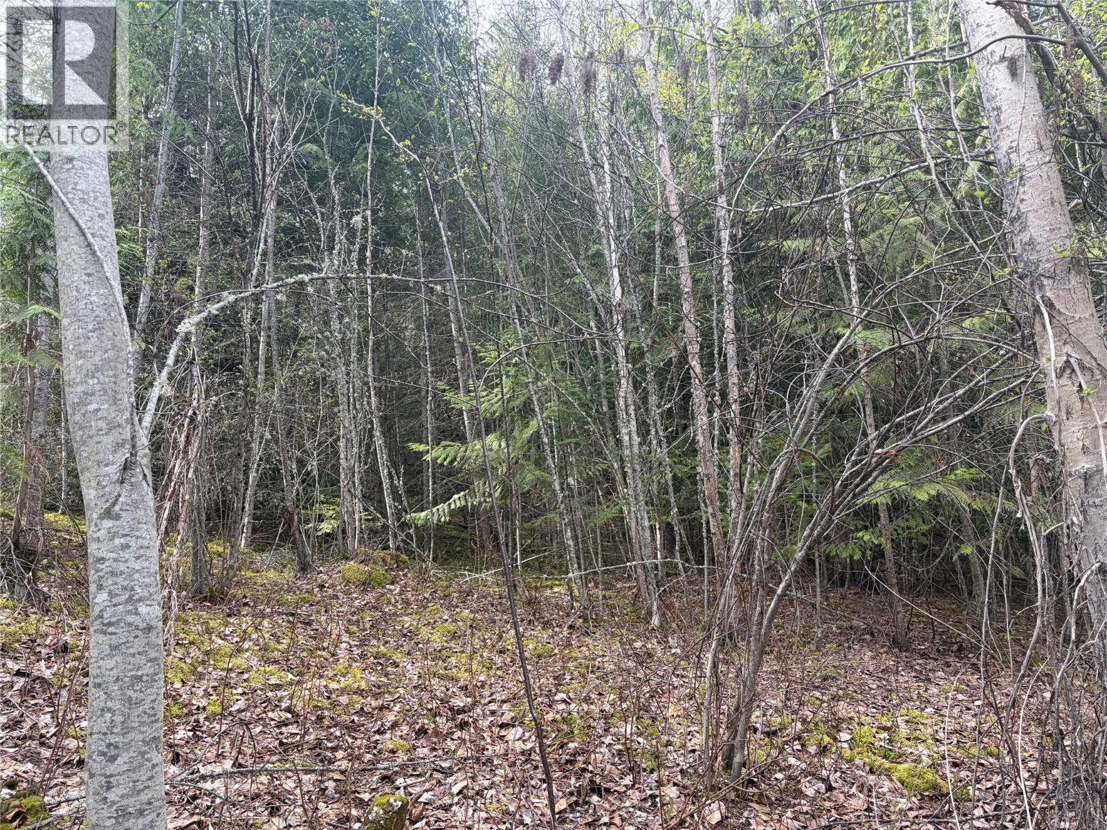 Lot 6 Mcbride Road Property Photo 9