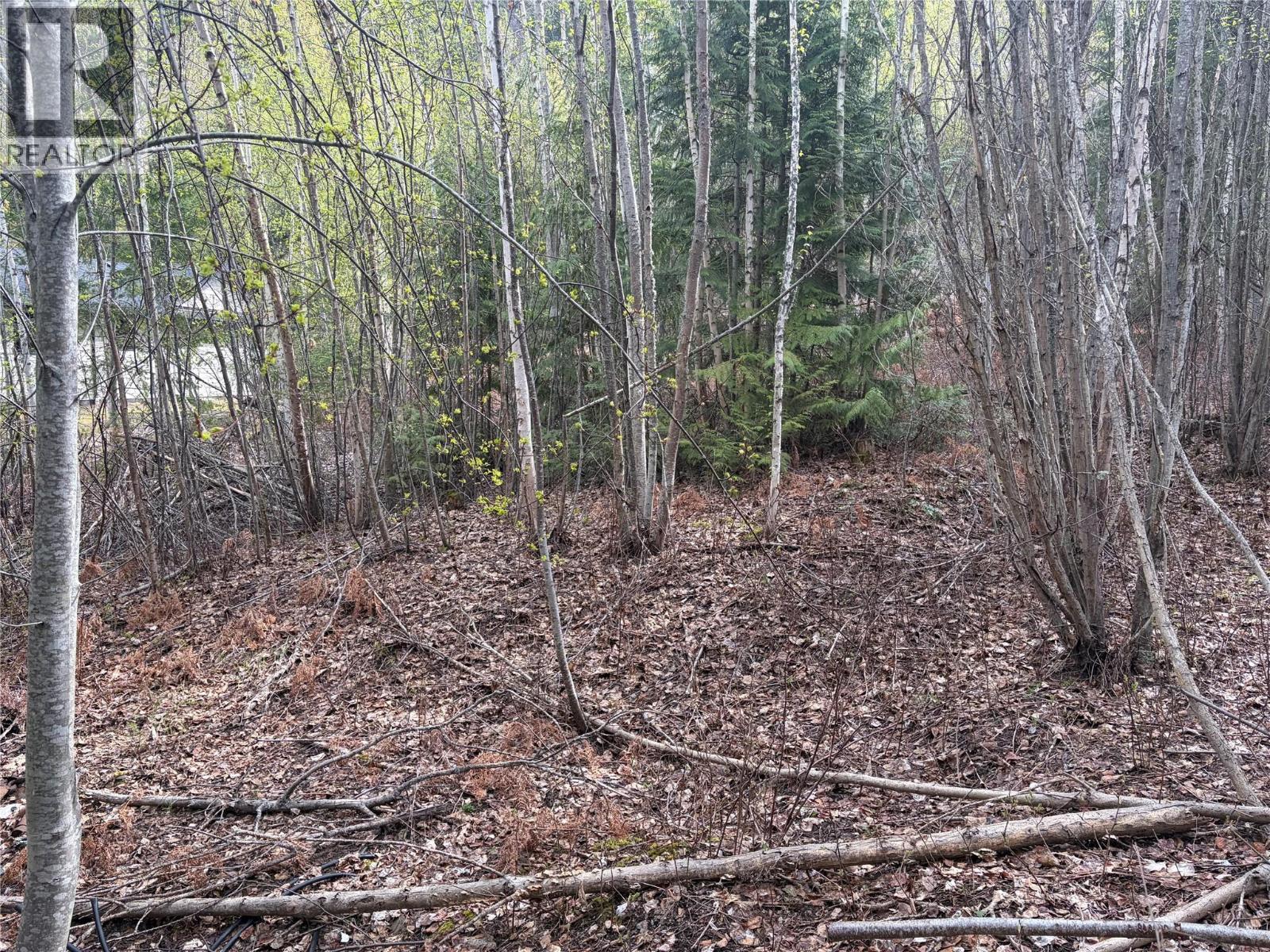 Lot 6 Mcbride Road Property Photo 10