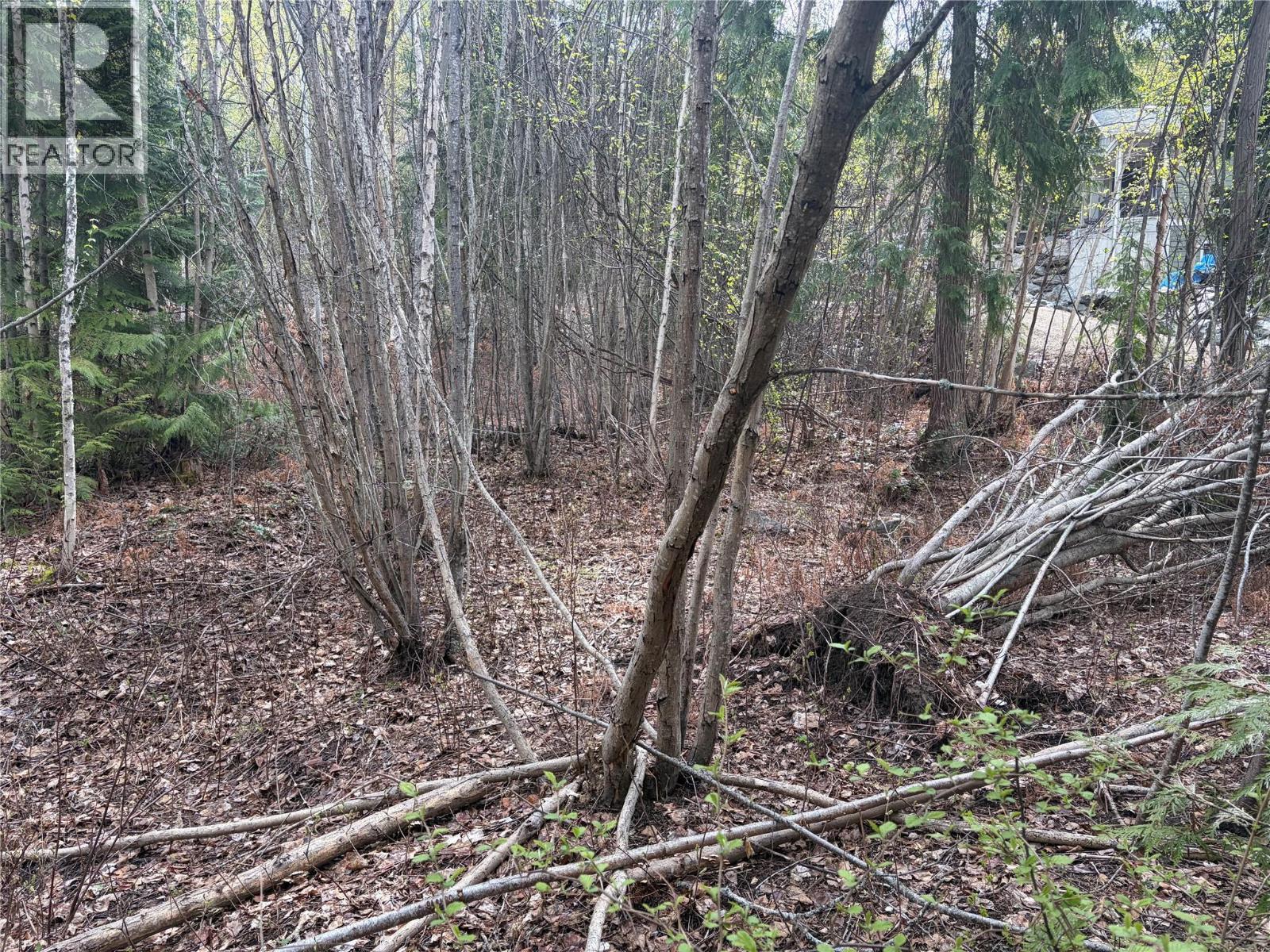 Lot 6 Mcbride Road Property Photo 11