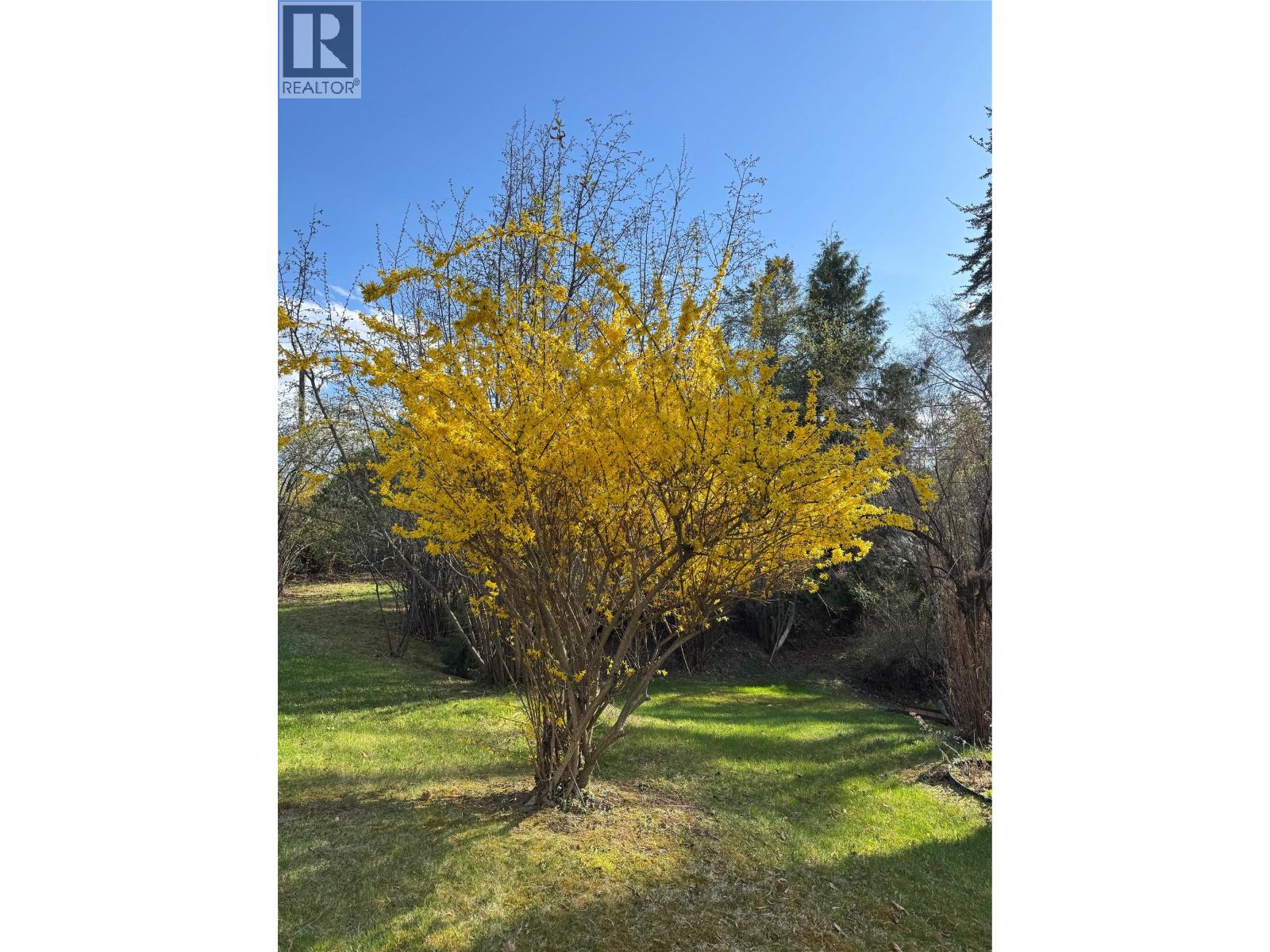 4150 Hughes Road Property Photo 7
