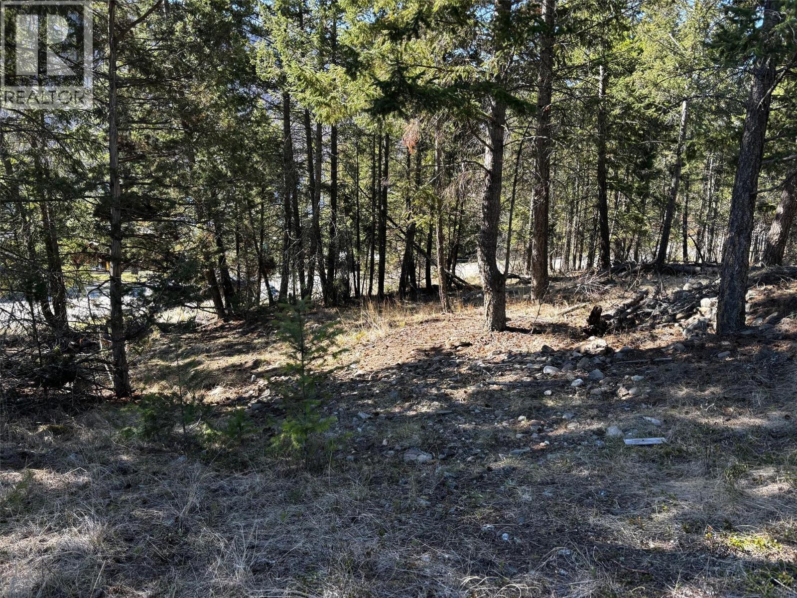 2971 Loon Lake Road Property Photo 5