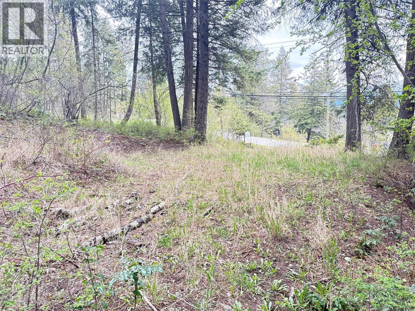 9394 Westside Road Property Photo 3