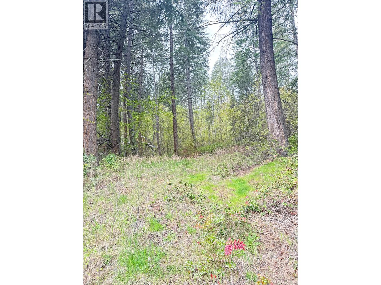 9394 Westside Road Property Photo 4