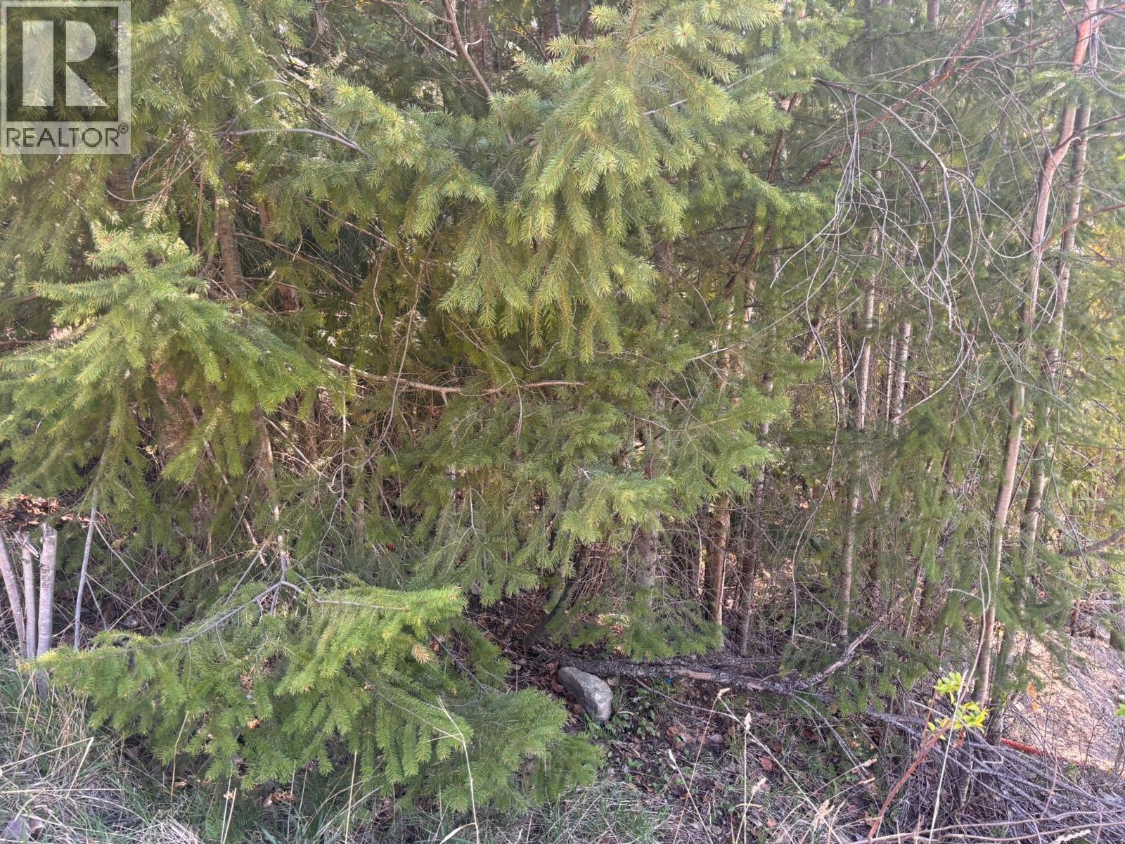 Lot 8 Stampede Trail Property Photo 3