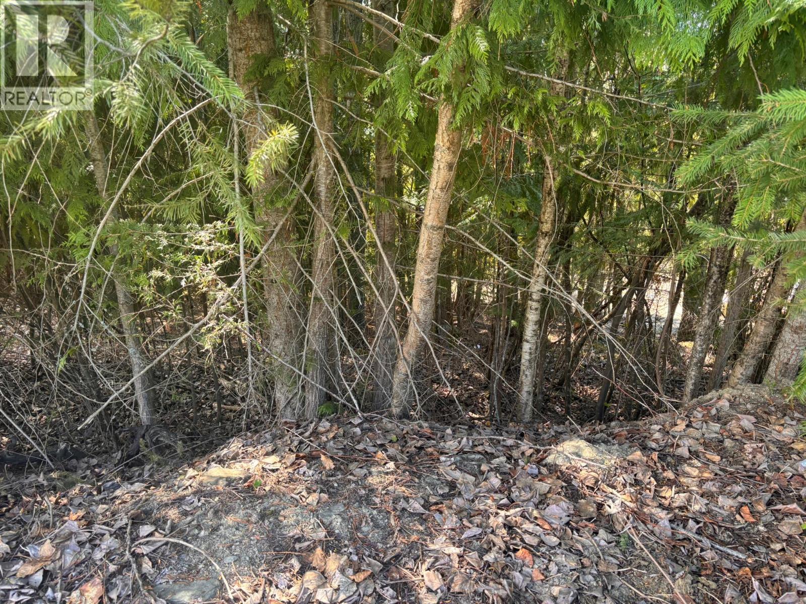 Lot 8 Stampede Trail Property Photo 4