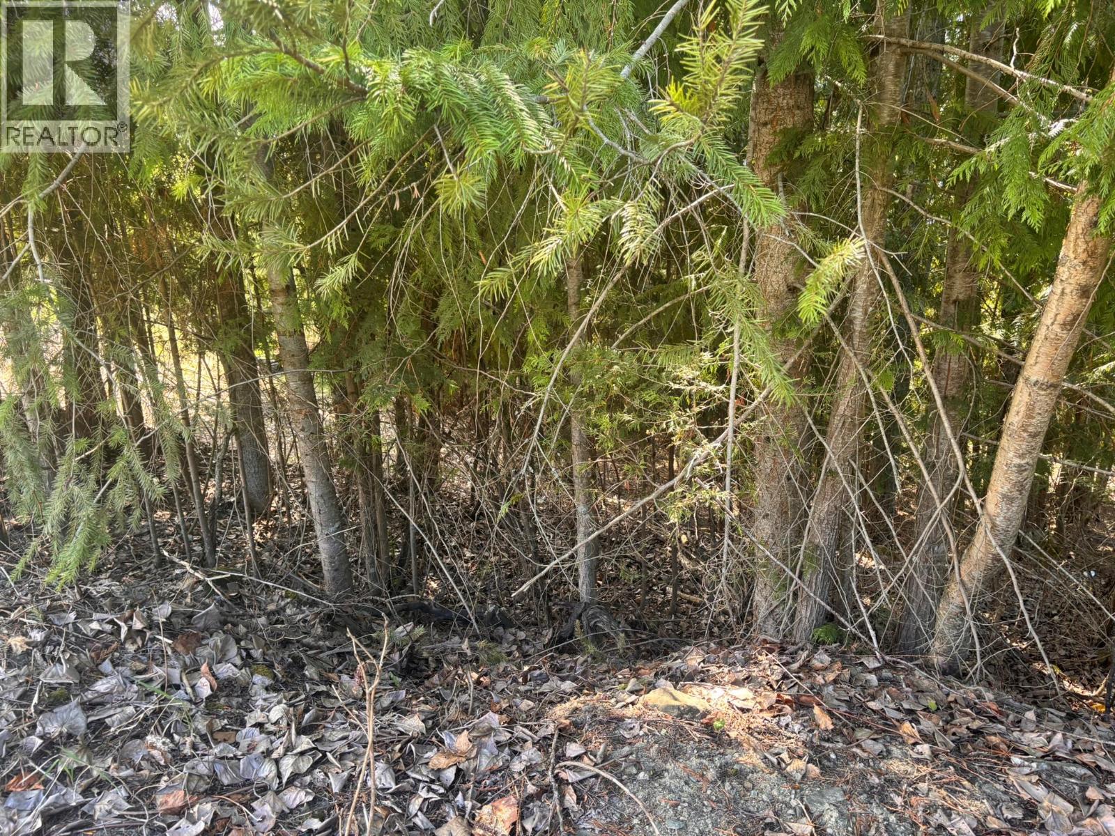 Lot 8 Stampede Trail Property Photo 5