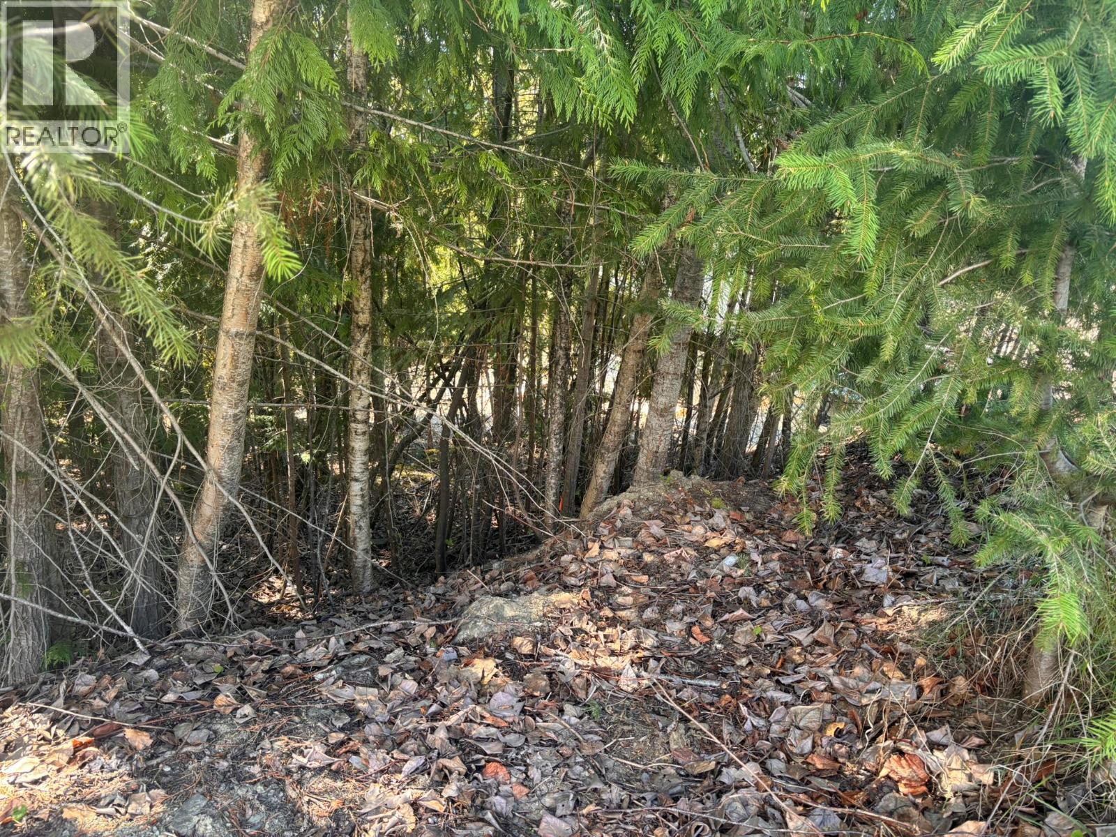 Lot 8 Stampede Trail Property Photo 6