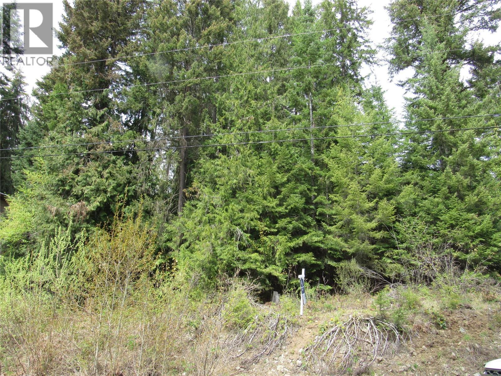 Lot 19 Nelson Rural 08182.190 Lot# 19 Property Photo 1