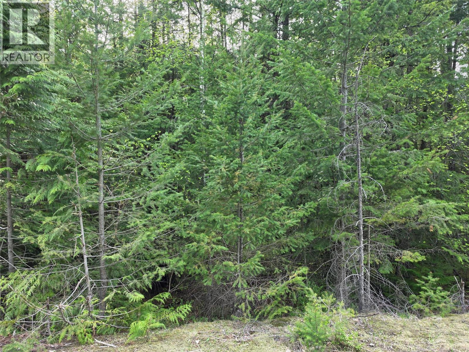 6 Highway Property Photo 1