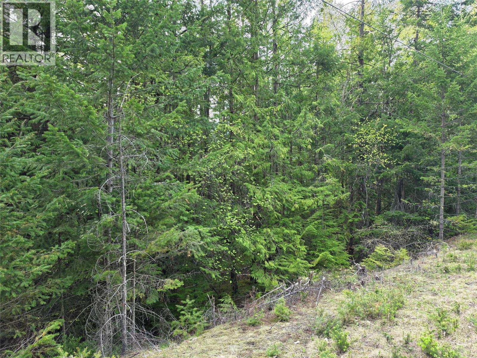 6 Highway Property Photo 5
