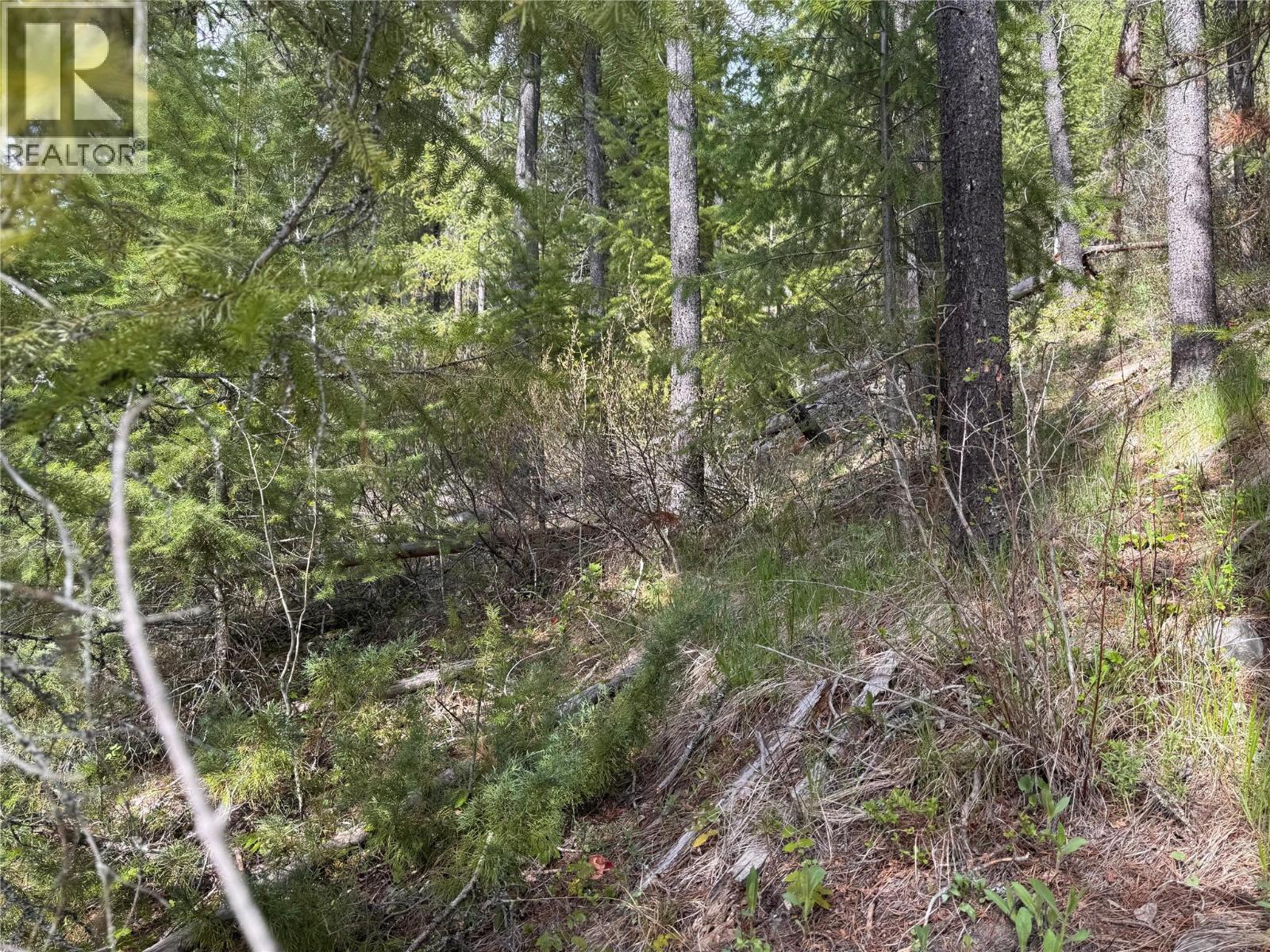452 Ponderosa Avenue Property Photo 4