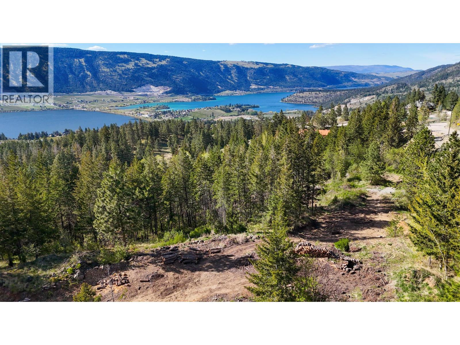 Proposed Lot 1 From 5617 Oyama Lake Road Property Photo 8