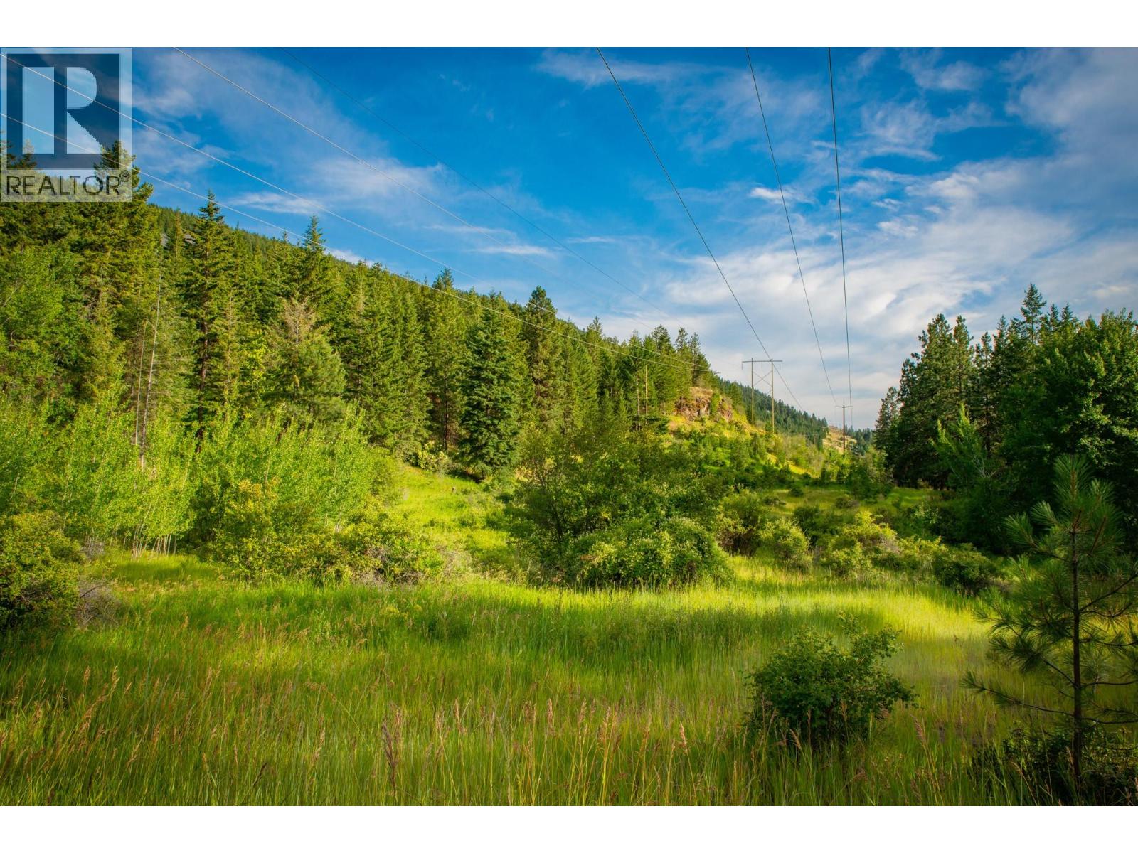 Proposed Lot 1 From 5617 Oyama Lake Road Property Photo 20