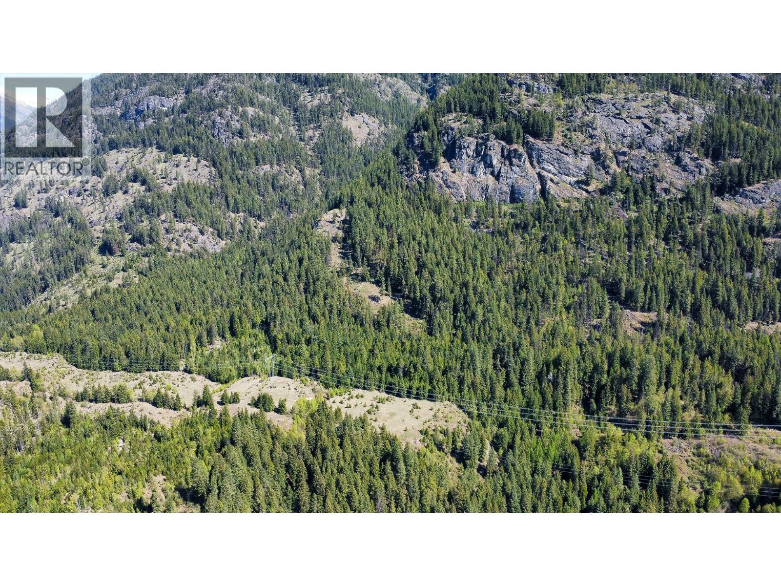 Upper Slocan Park Road Road Property Photo 38